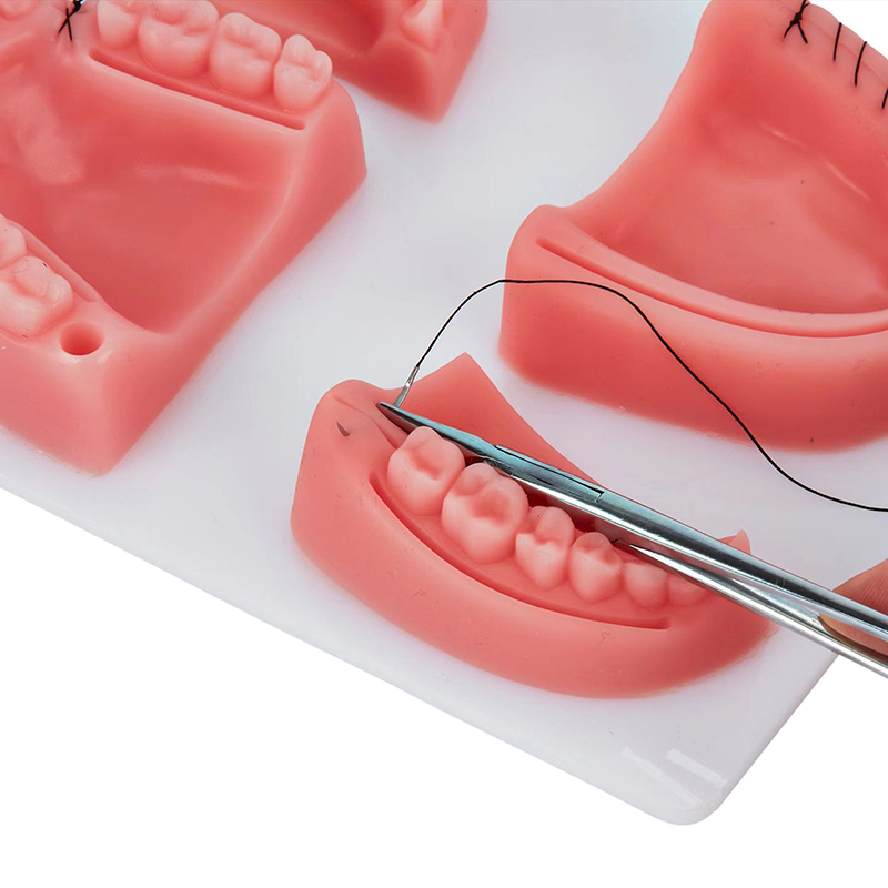 Alat Latihan Jahitan Gusi Gigi - Medical Lab Kit ulasan dan harga